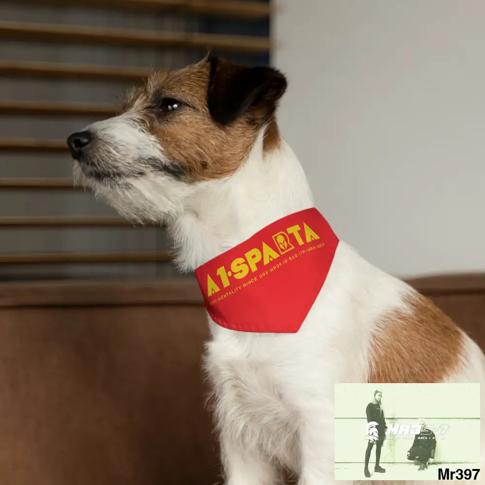 A1--Sparta Pet Bandana Collar Pets