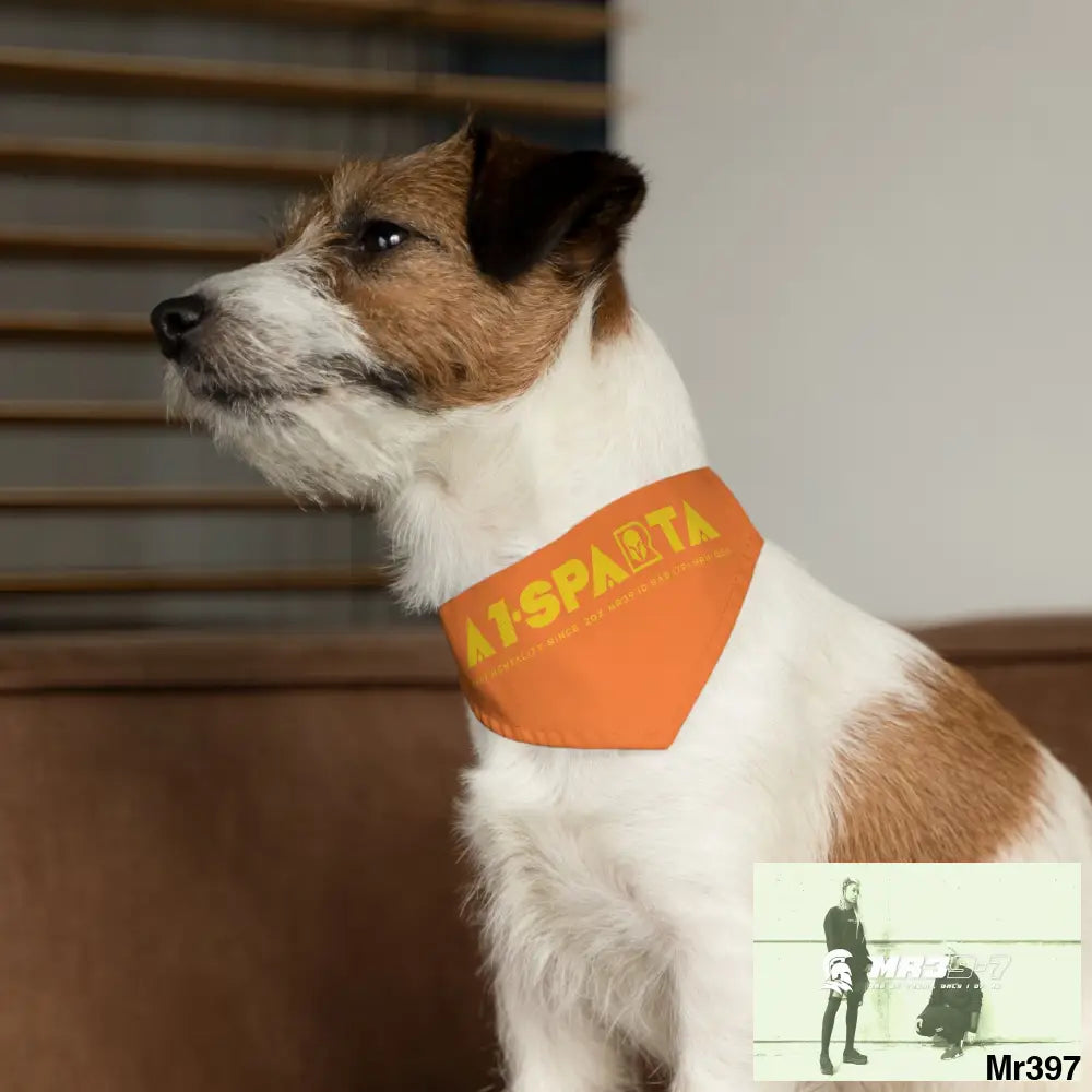 A1--Sparta Pet Bandana Collar Pets