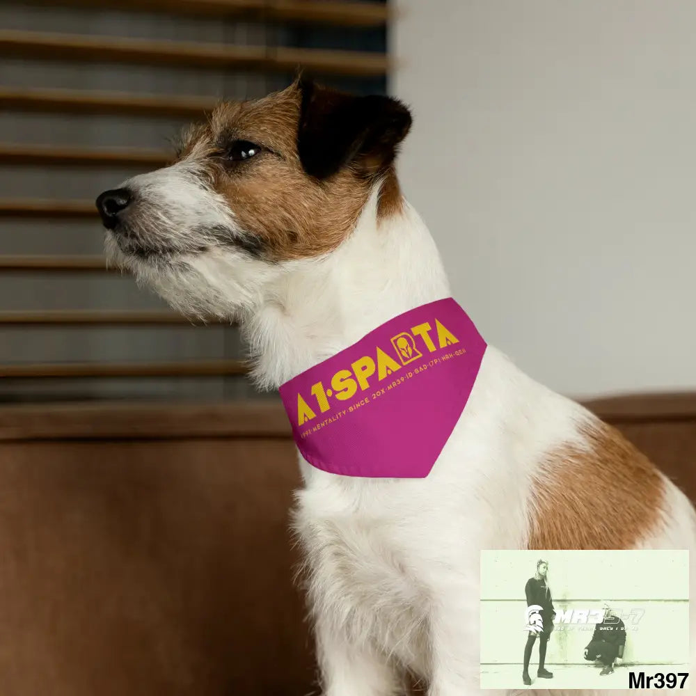 A1--Sparta Pet Bandana Collar Pets