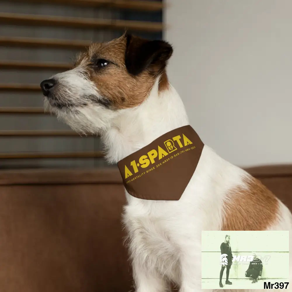 A1--Sparta Pet Bandana Collar Pets