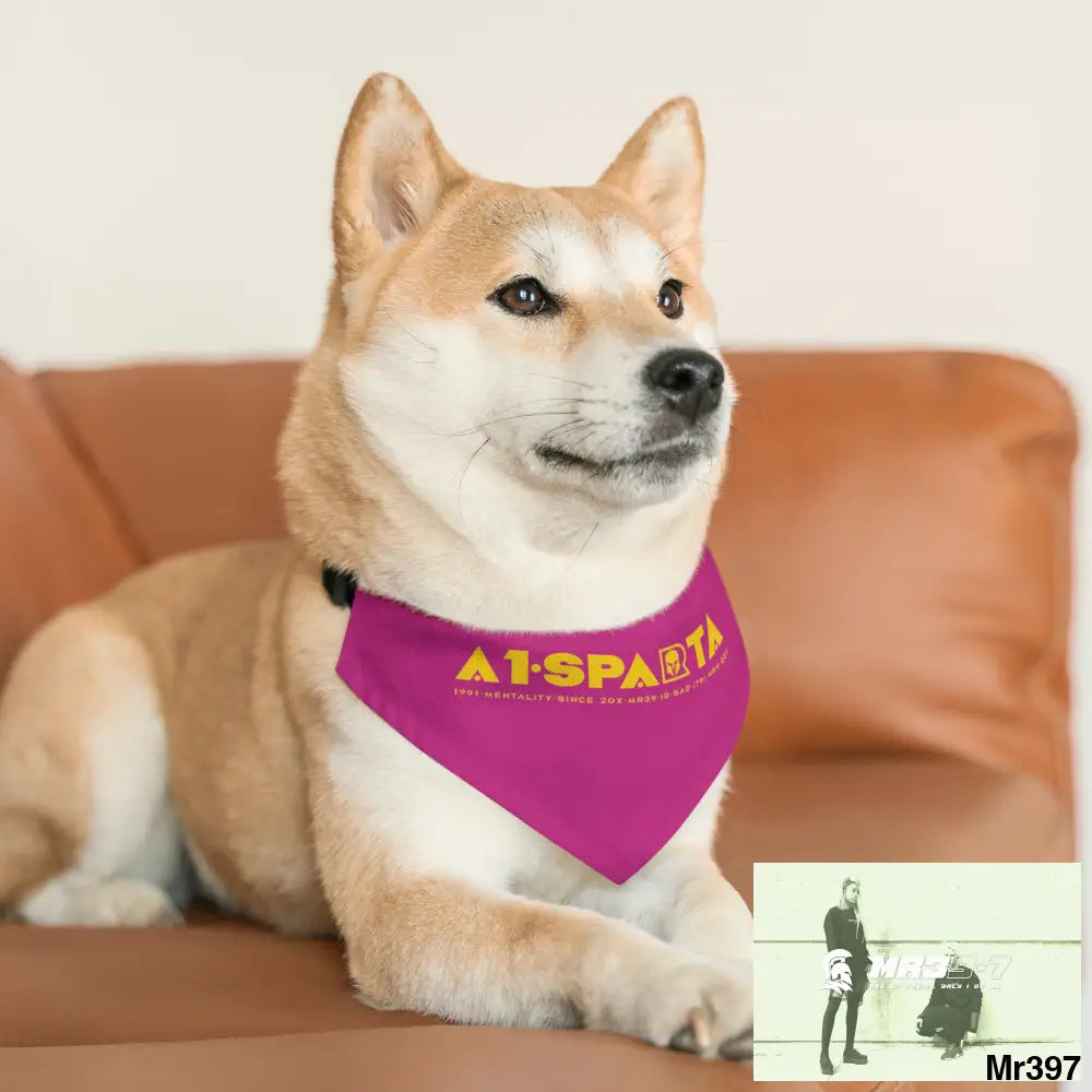 A1--Sparta Pet Bandana Collar Pets