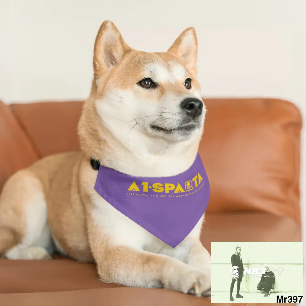 A1--Sparta Pet Bandana Collar Pets