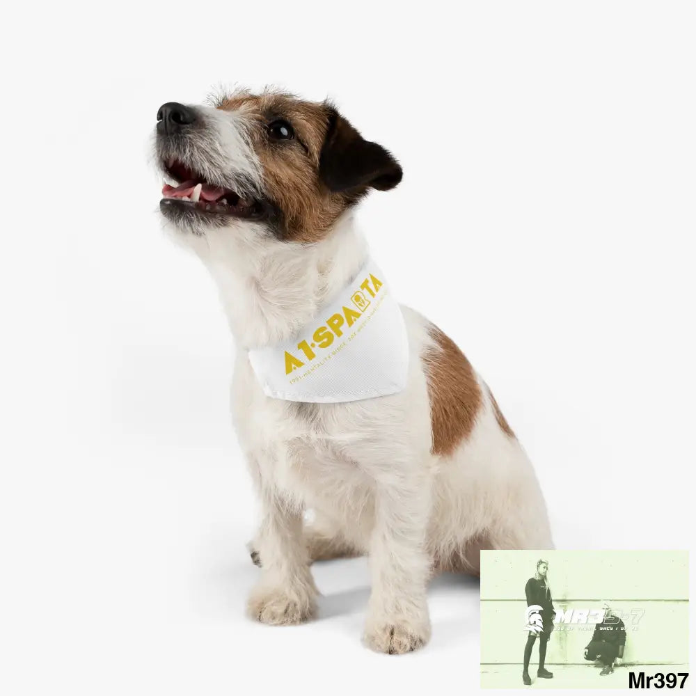 A1--Sparta Pet Bandana Collar Pets
