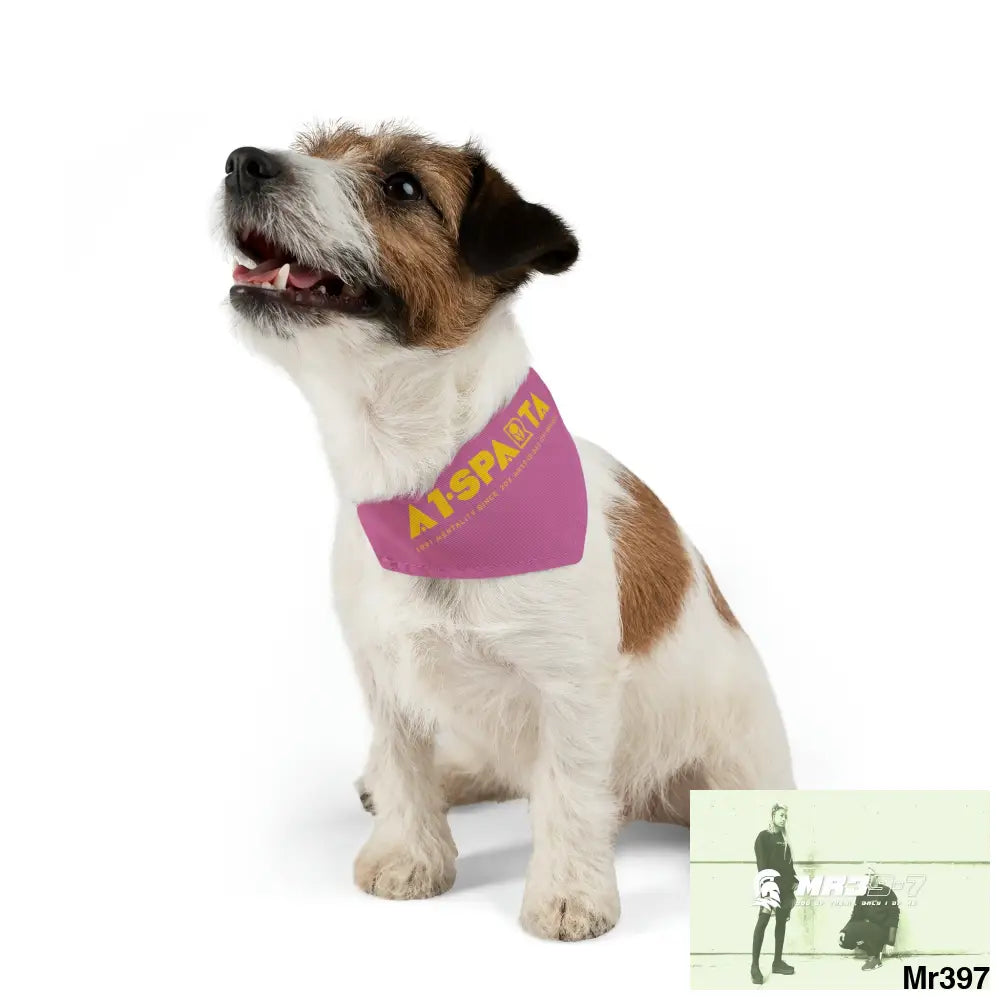 A1--Sparta Pet Bandana Collar Pets