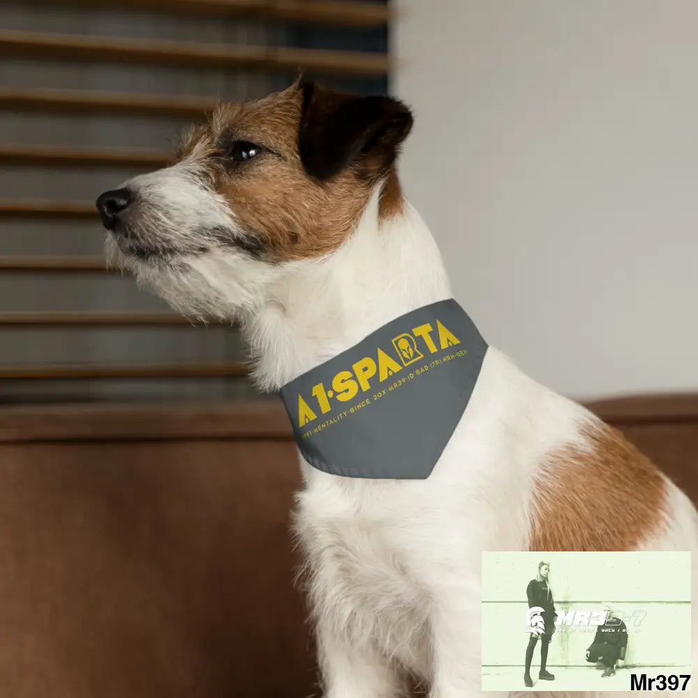 A1--Sparta Pet Bandana Collar Pets