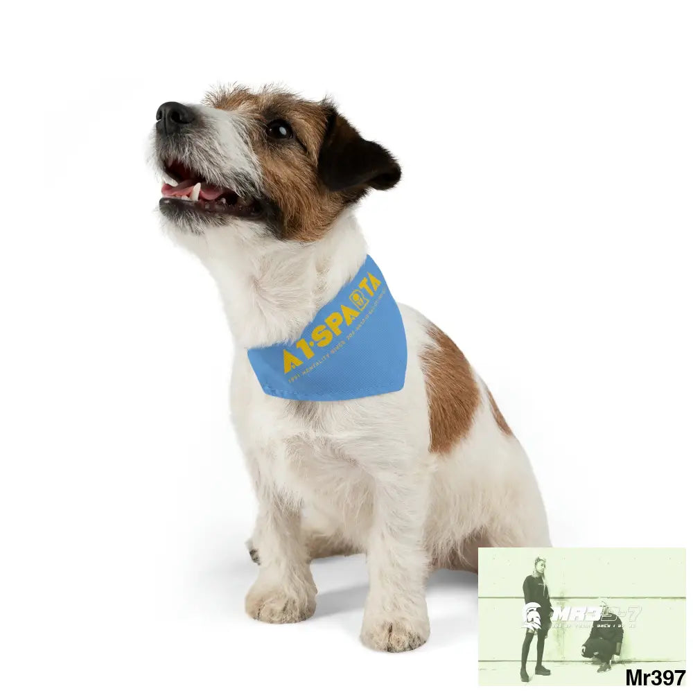 A1--Sparta Pet Bandana Collar Pets