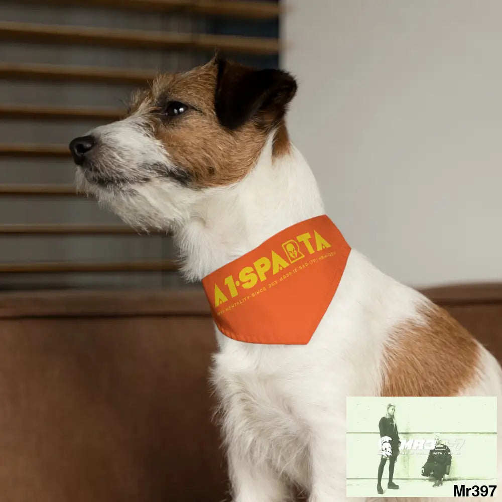 A1--Sparta Pet Bandana Collar Pets