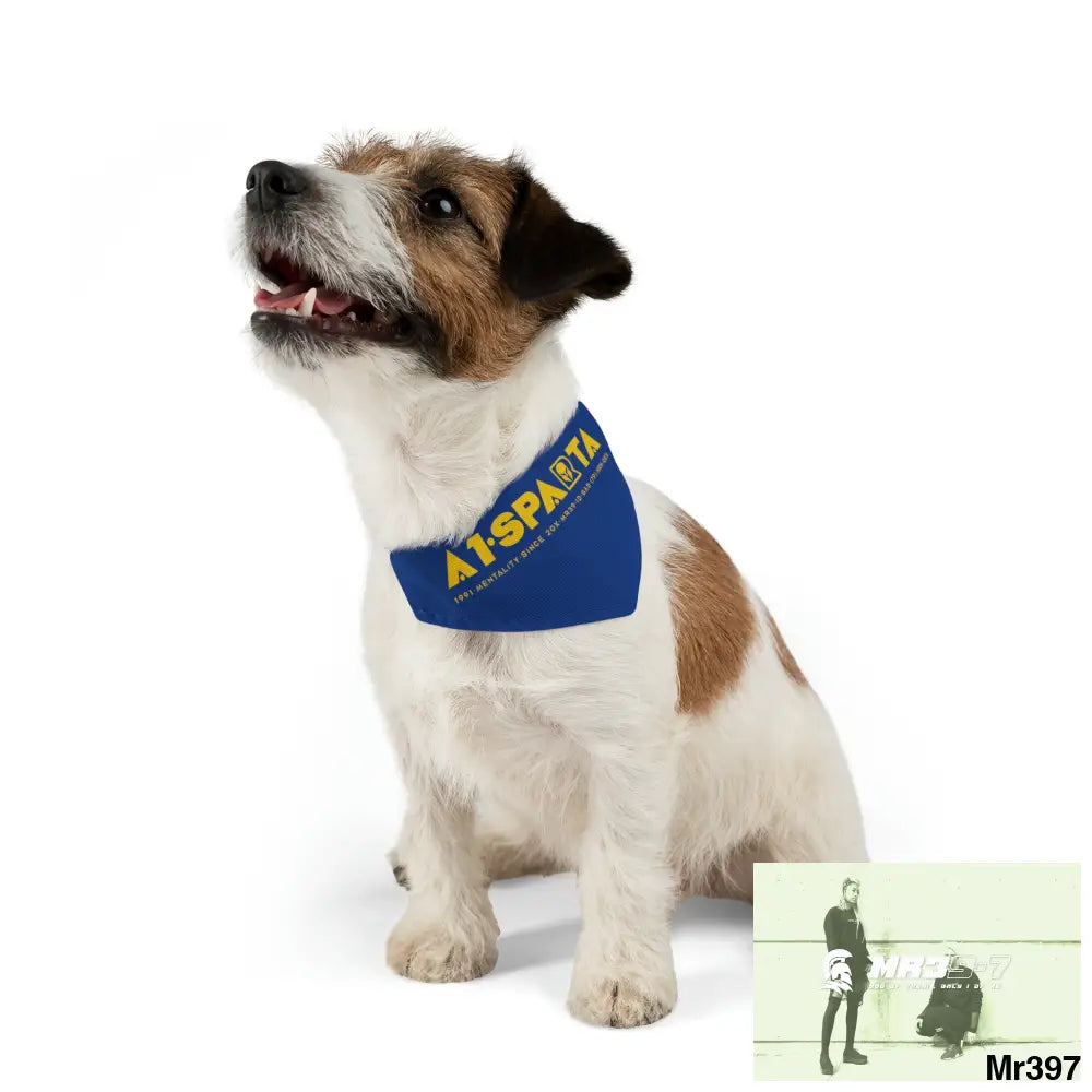 A1--Sparta Pet Bandana Collar Pets
