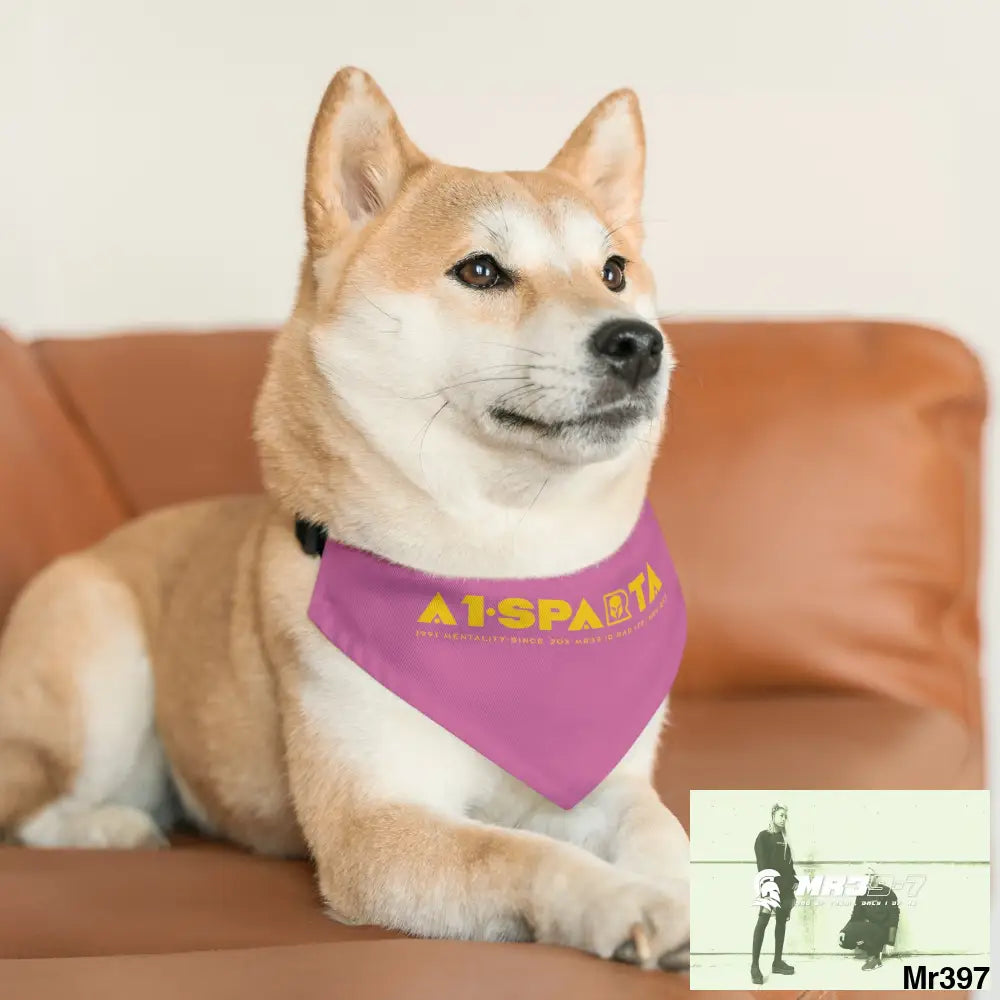 A1--Sparta Pet Bandana Collar Pets