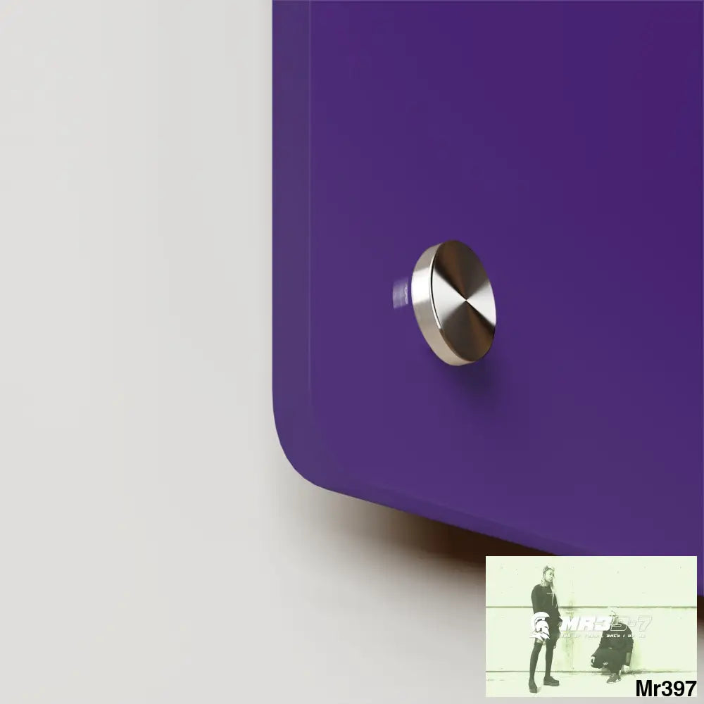 A1-Vigilante Acrylic Wall Art Panels Home Decor