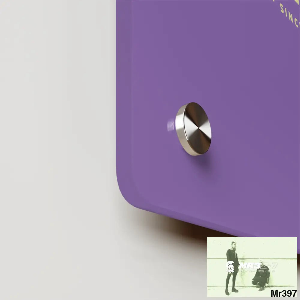 A1-Vigilante Acrylic Wall Art Panels Home Decor