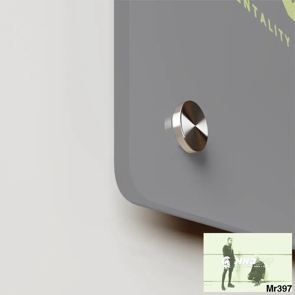 A1-Vigilante Acrylic Wall Art Panels Home Decor