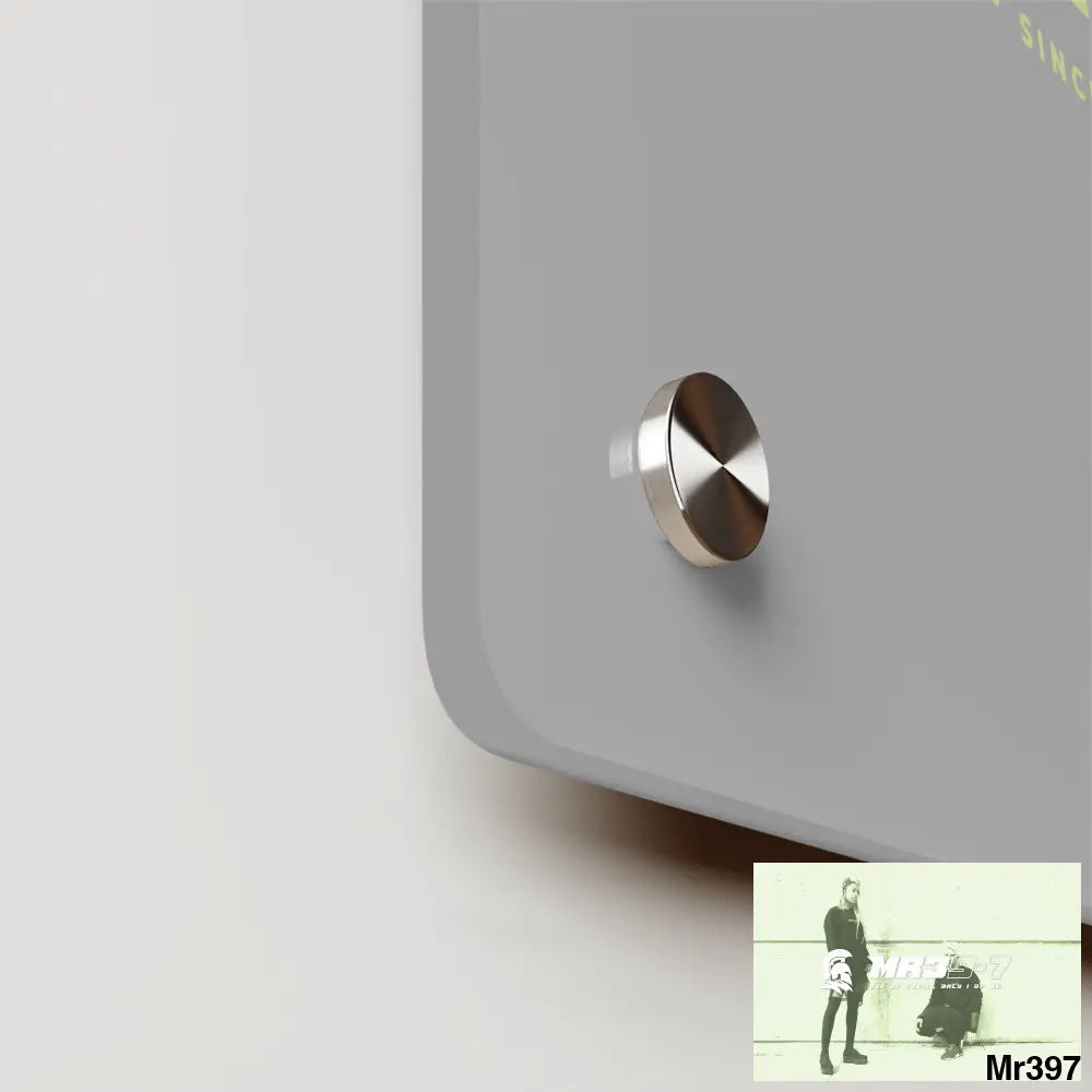 A1-Vigilante Acrylic Wall Art Panels Home Decor