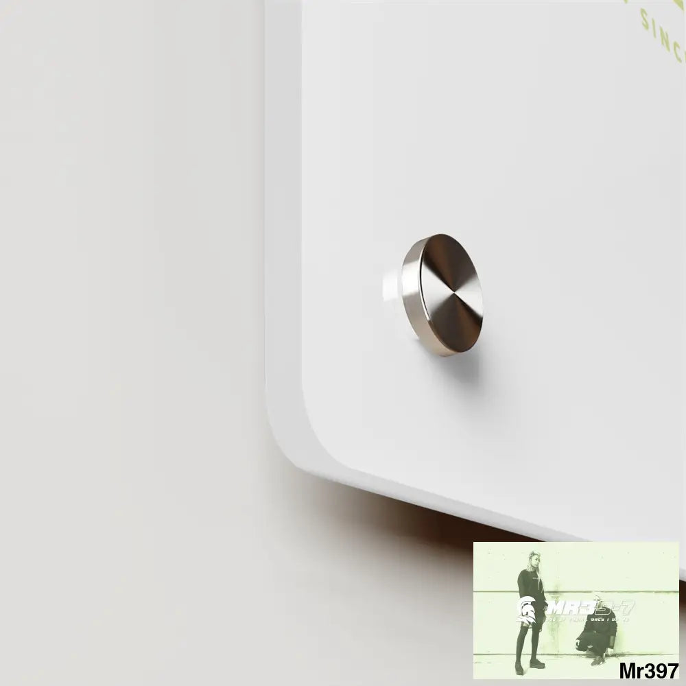 A1-Vigilante Acrylic Wall Art Panels Home Decor