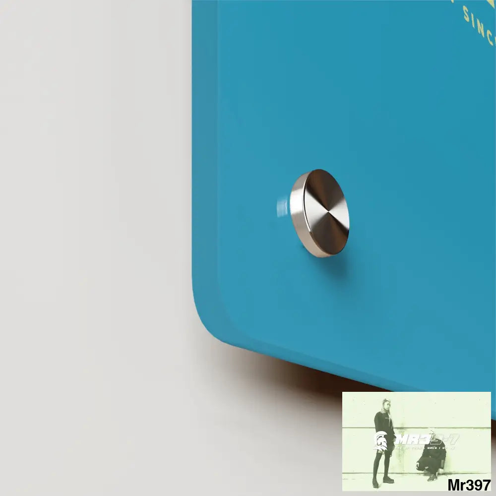 A1-Vigilante Acrylic Wall Art Panels Home Decor