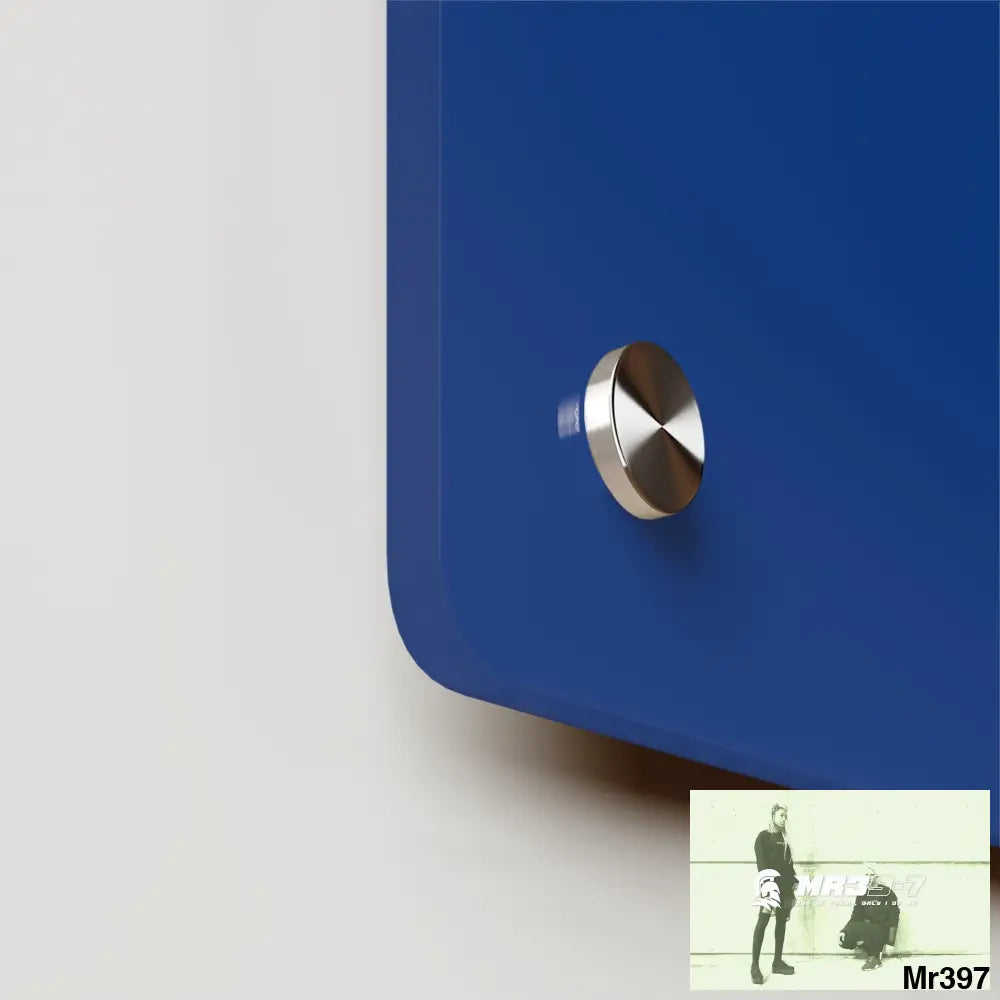 A1-Vigilante Acrylic Wall Art Panels Home Decor