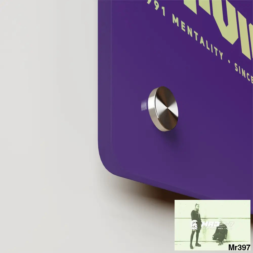 A1-Vigilante Acrylic Wall Art Panels Home Decor