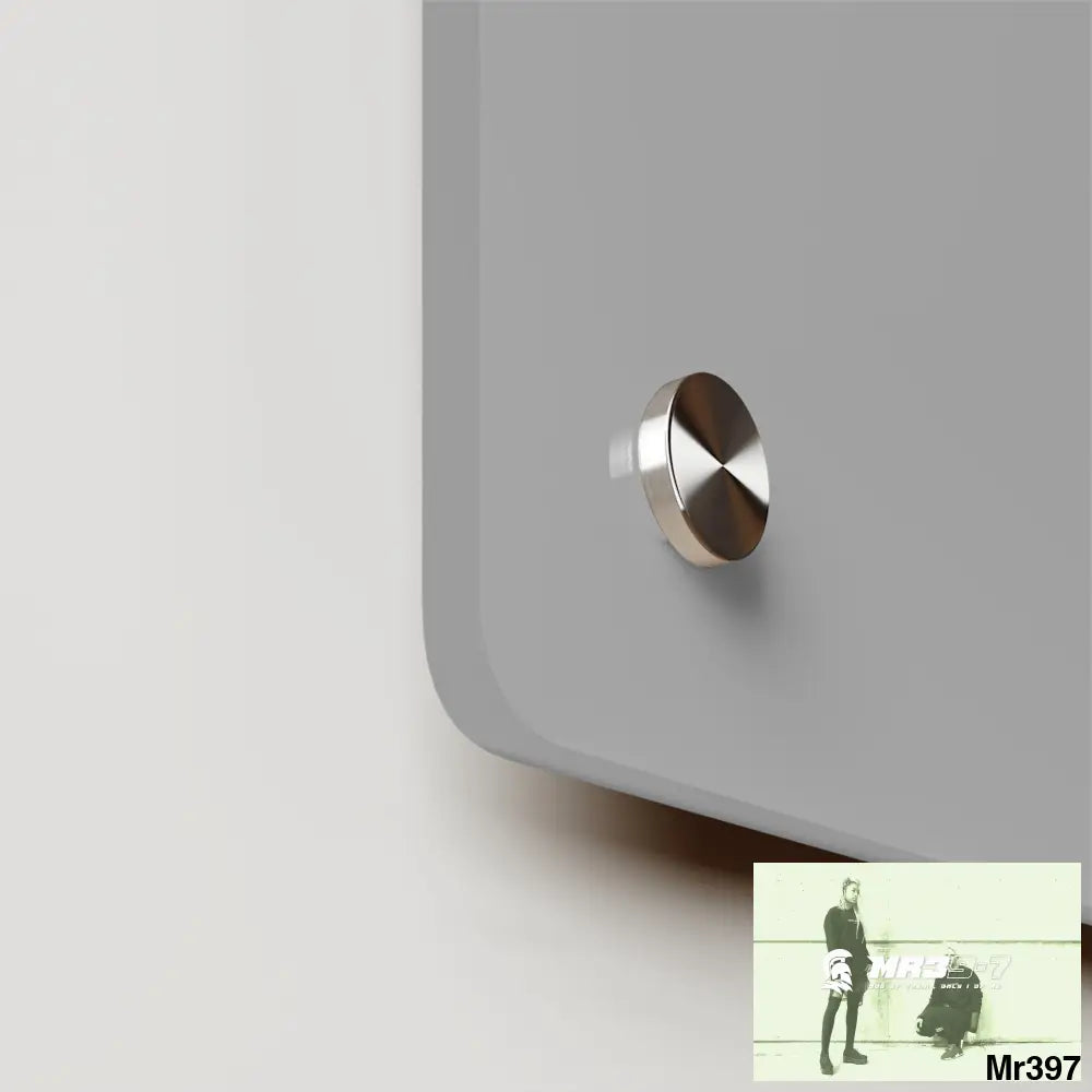 A1-Vigilante Acrylic Wall Art Panels Home Decor