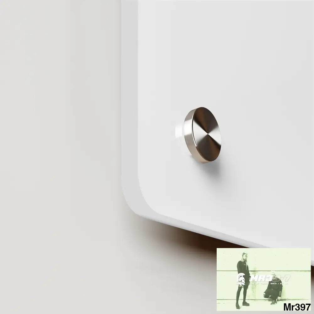 A1-Vigilante Acrylic Wall Art Panels Home Decor