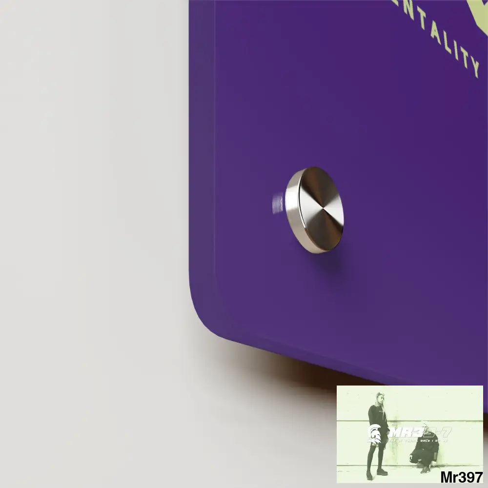 A1-Vigilante Acrylic Wall Art Panels Home Decor