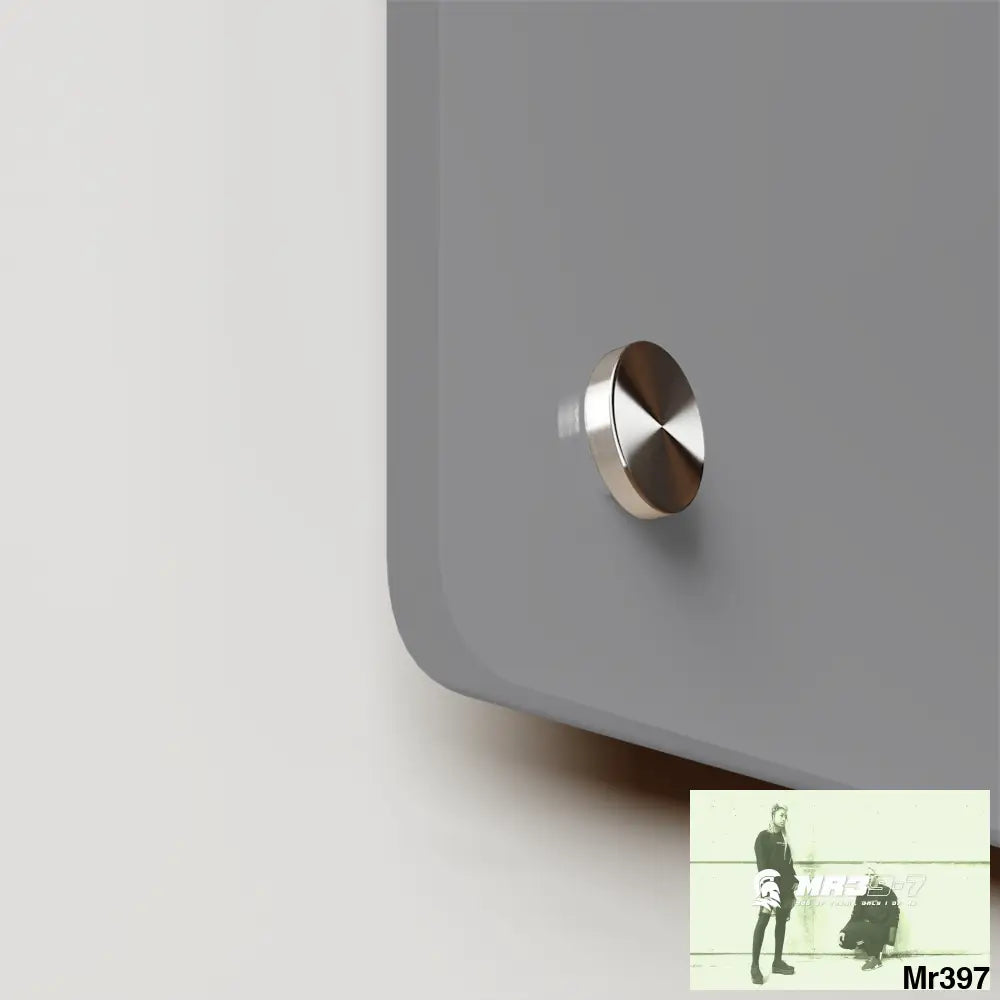 A1-Vigilante Acrylic Wall Art Panels Home Decor