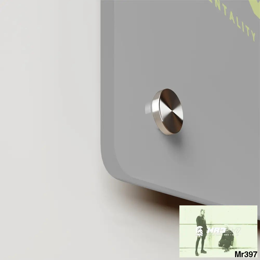 A1-Vigilante Acrylic Wall Art Panels Home Decor