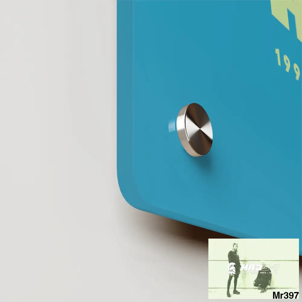 A1-Vigilante -Sparta Sparta Acrylic Wall Art Panels Home Decor