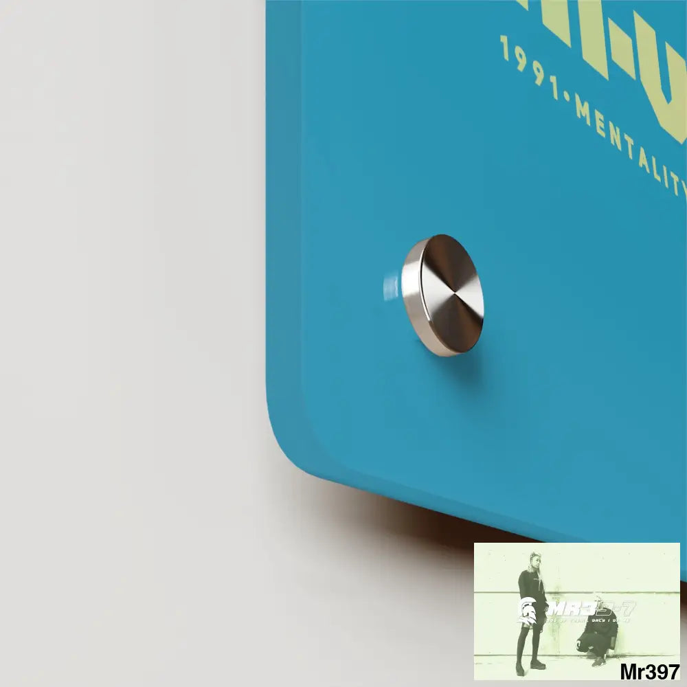 A1-Vigilante -Sparta Sparta Acrylic Wall Art Panels Home Decor