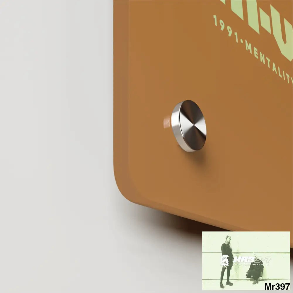 A1-Vigilante -Sparta Sparta Acrylic Wall Art Panels Home Decor