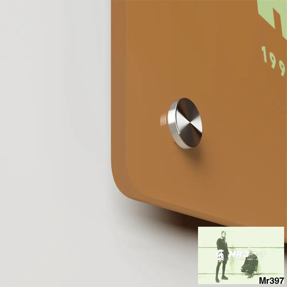 A1-Vigilante -Sparta Sparta Acrylic Wall Art Panels Home Decor