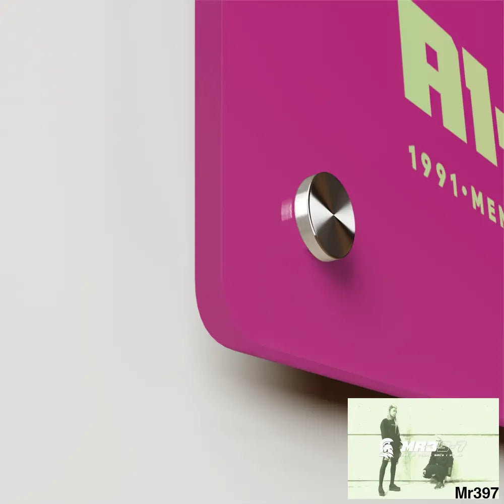 A1--Vigilante -Sparta Sparta Acrylic Wall Art Panels Home Decor