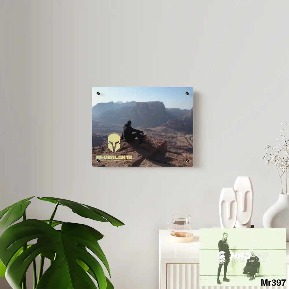 A1 Vigilante Sparta Jordan Break from Madness 2014 Acrylic Wall Art Panels Home Decor