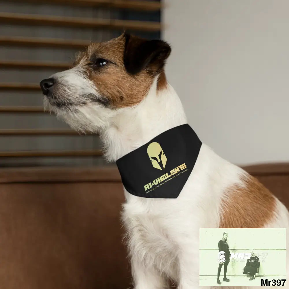 A1-Vigilante-Sparta Pet Bandana Collar Pets
