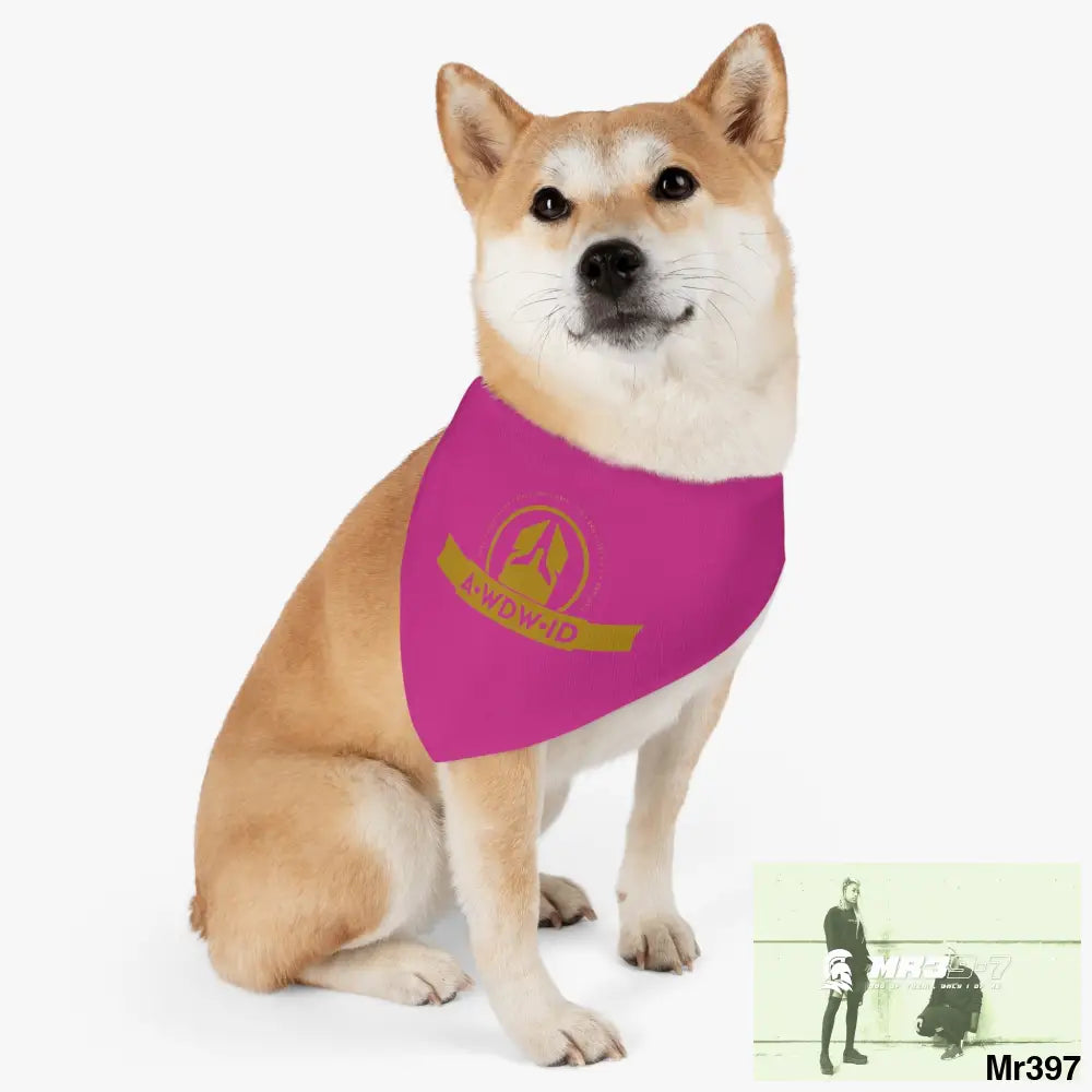 A1--Who Dares Wins ID Pet Bandana Collar L Pets