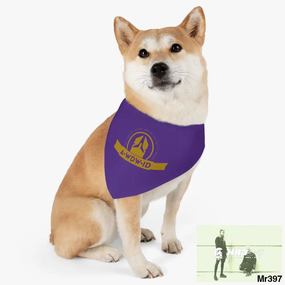 A1--Who Dares Wins ID Pet Bandana Collar L Pets