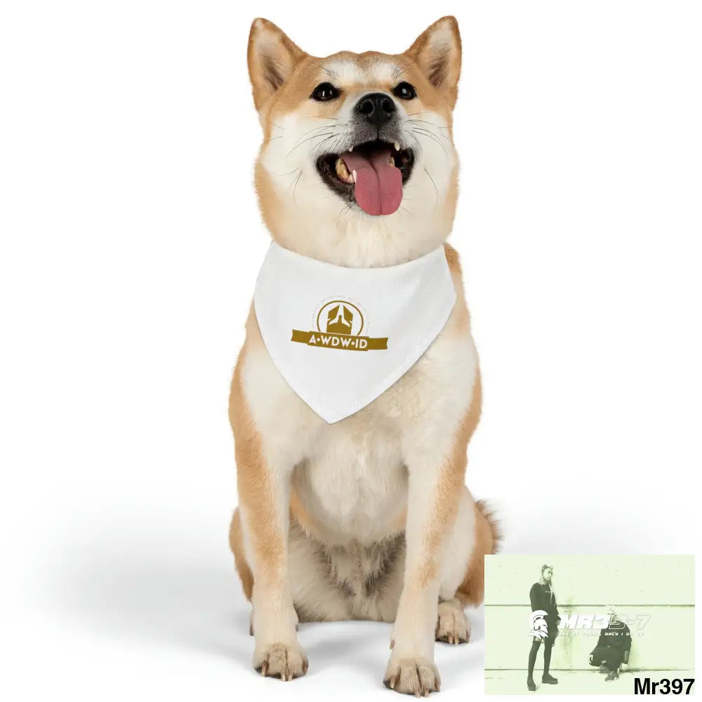 A1-Who Dares Wins ID Pet Bandana Collar M Pets