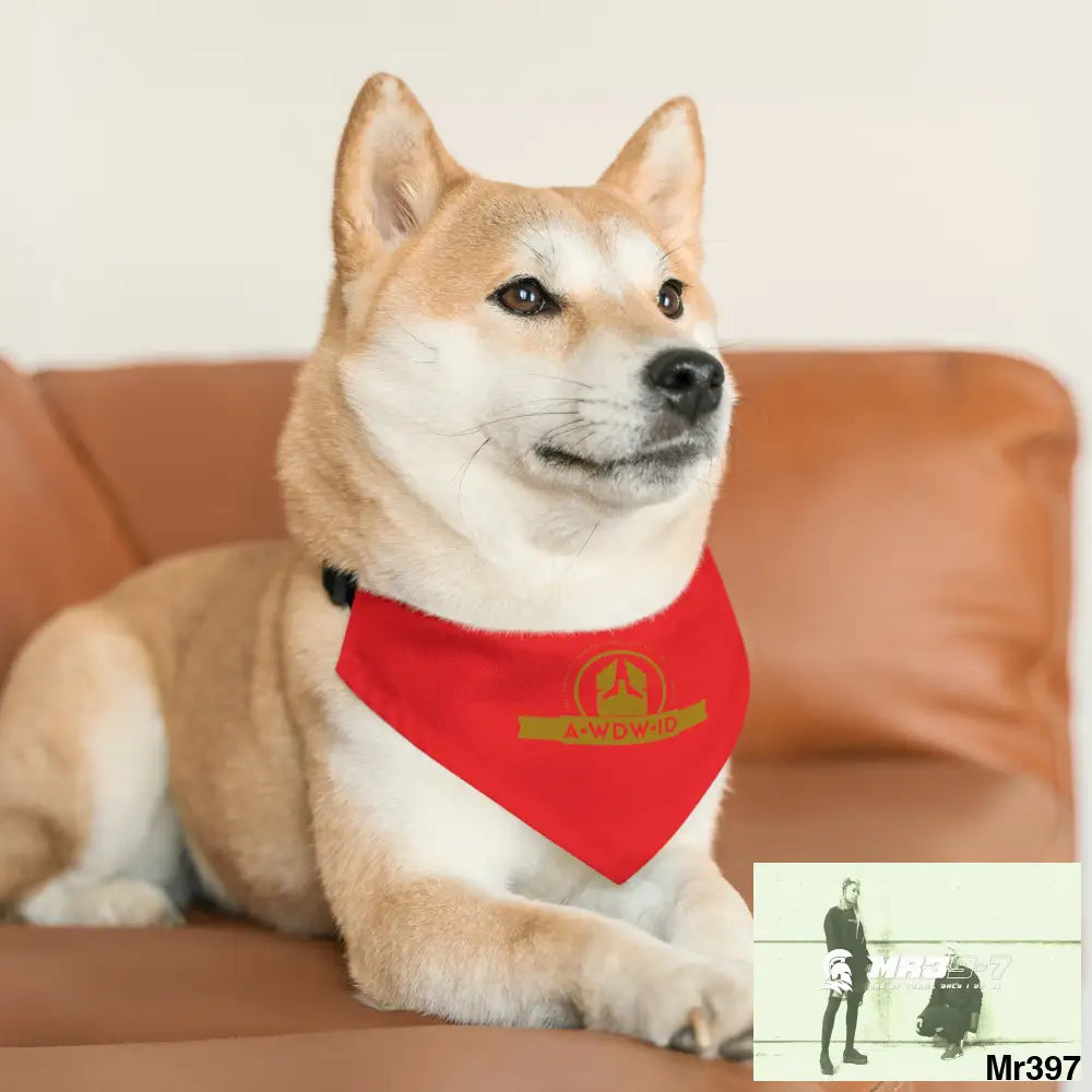 A1-Who Dares Wins ID Pet Bandana Collar Pets
