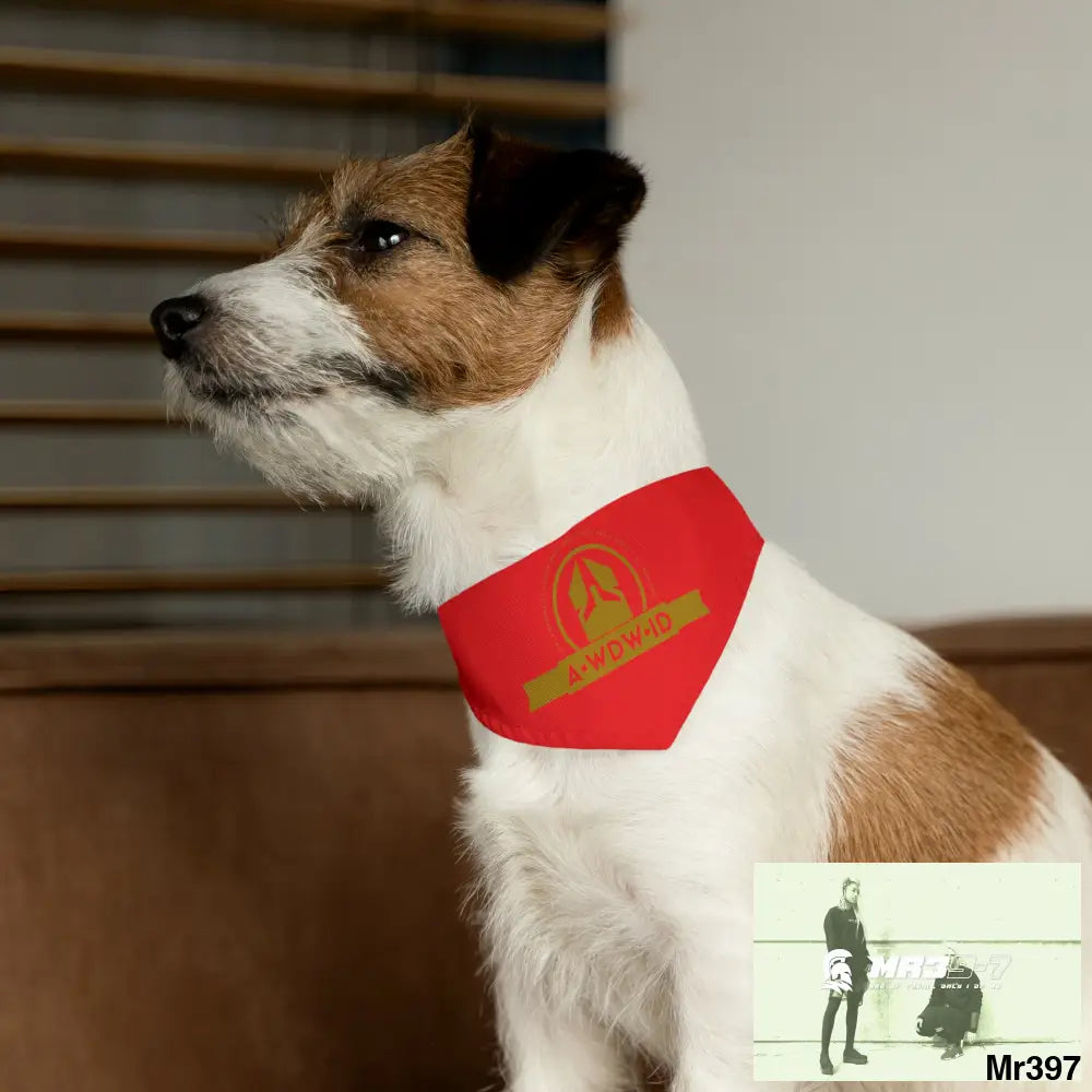 A1-Who Dares Wins ID Pet Bandana Collar Pets