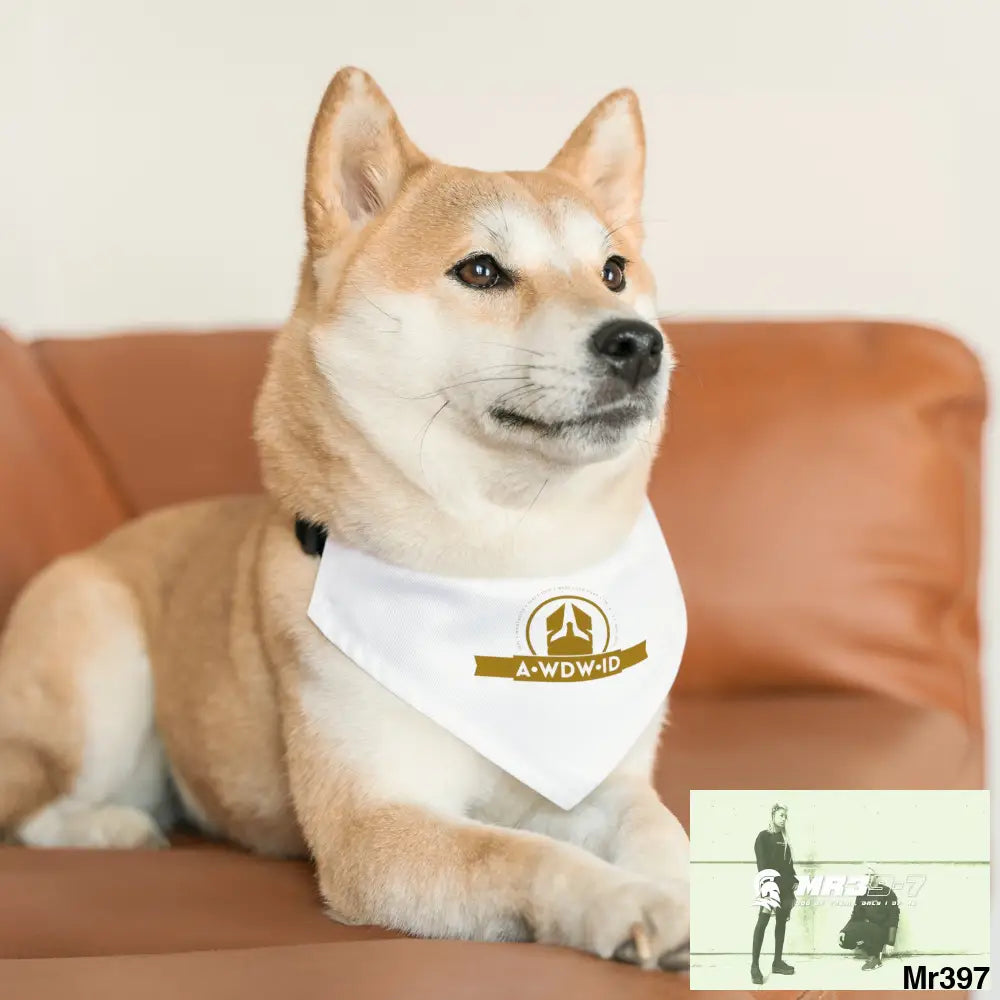 A1-Who Dares Wins ID Pet Bandana Collar Pets