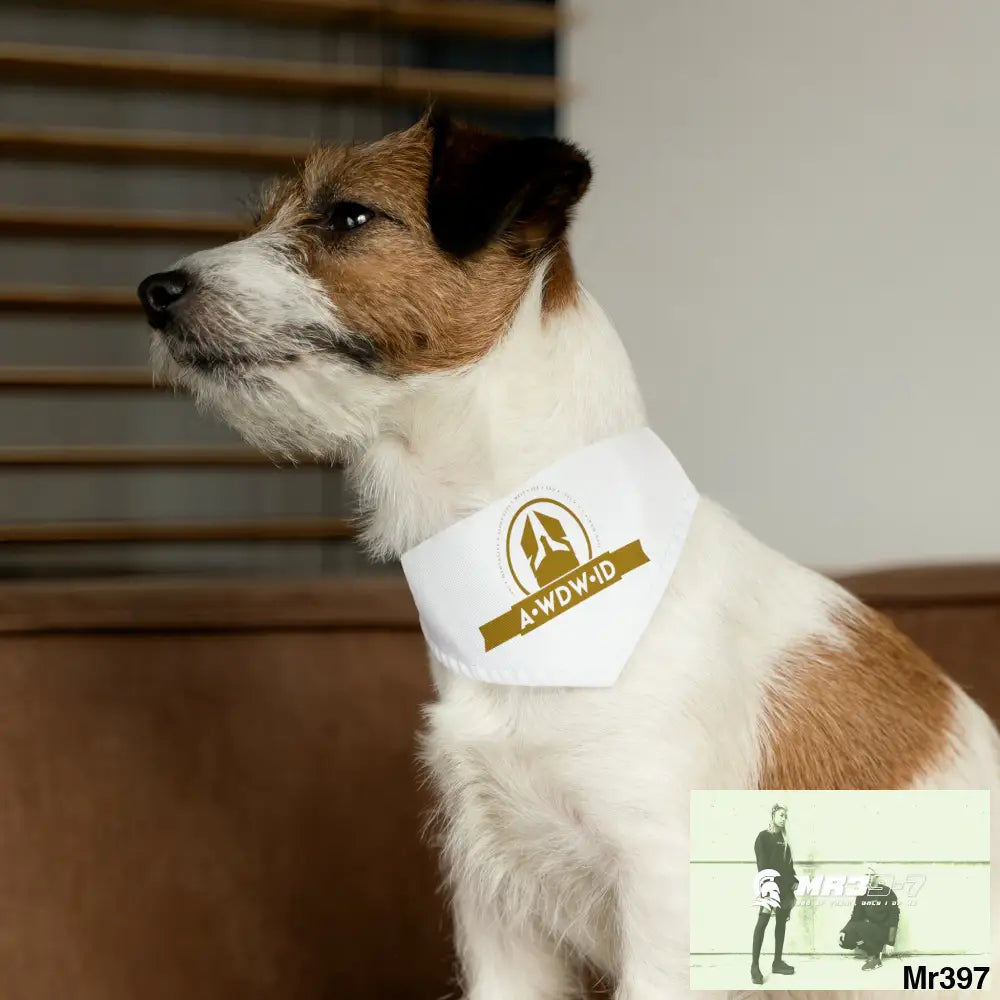 A1-Who Dares Wins ID Pet Bandana Collar Pets