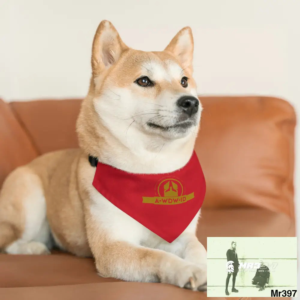 A1-Who Dares Wins ID Pet Bandana Collar Pets