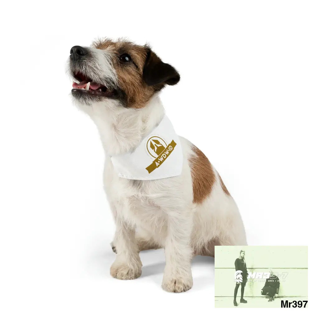 A1-Who Dares Wins ID Pet Bandana Collar S Pets