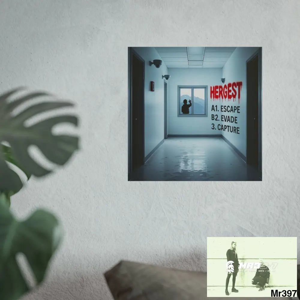 Banksy Style Escape from Hergest Assassination fail Nov -Dec 2013 no 5 Fine Art Posters Poster