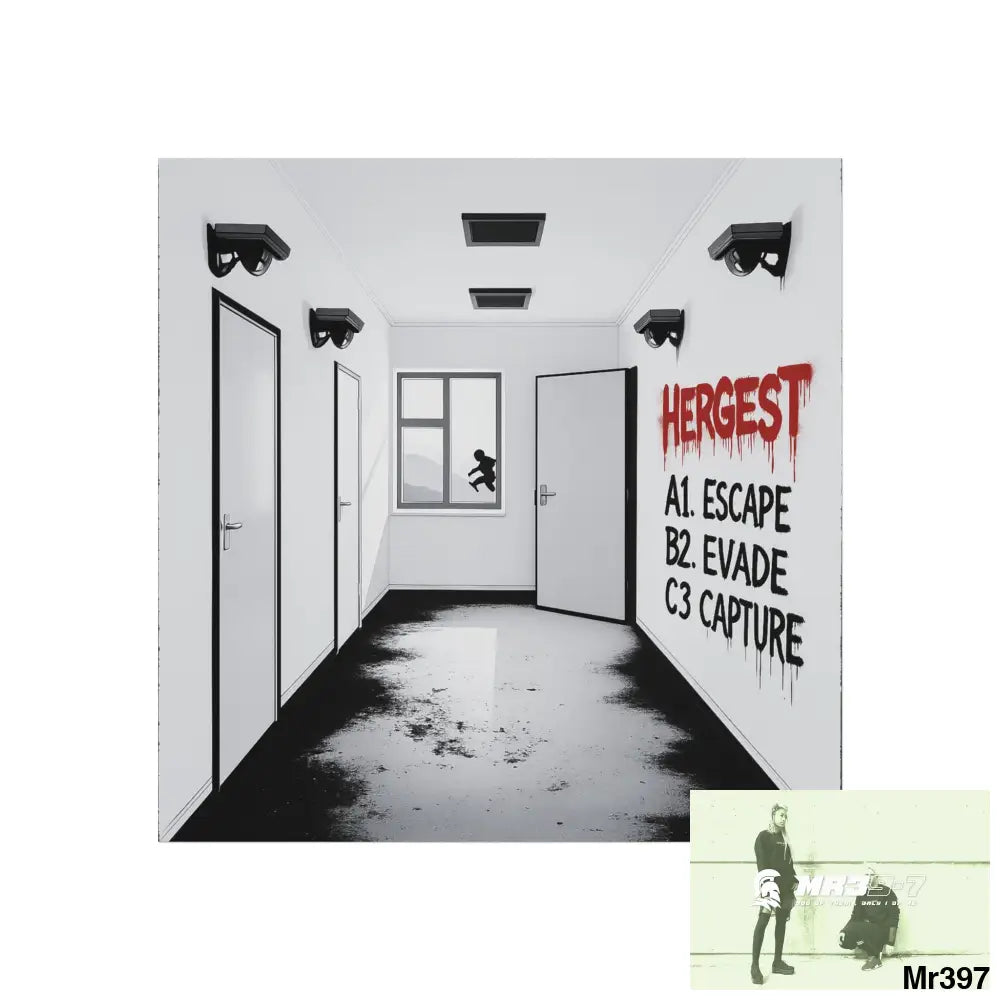 Banksy Style Escape from Hergest Assassination fail Nov -Dec 2013 no 7 Fine Art Posters 16″ x 16″ / Matte Poster