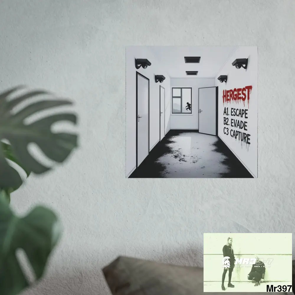 Banksy Style Escape from Hergest Assassination fail Nov -Dec 2013 no 7 Fine Art Posters Poster