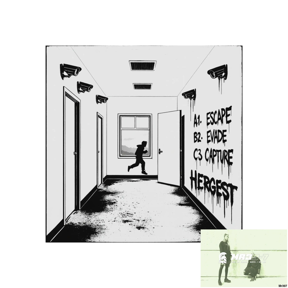 Banksy Style Escape from Hergest Assassination fail Nov -Dec 2013 no 8 Fine Art Posters 16″ x 16″ / Matte Poster