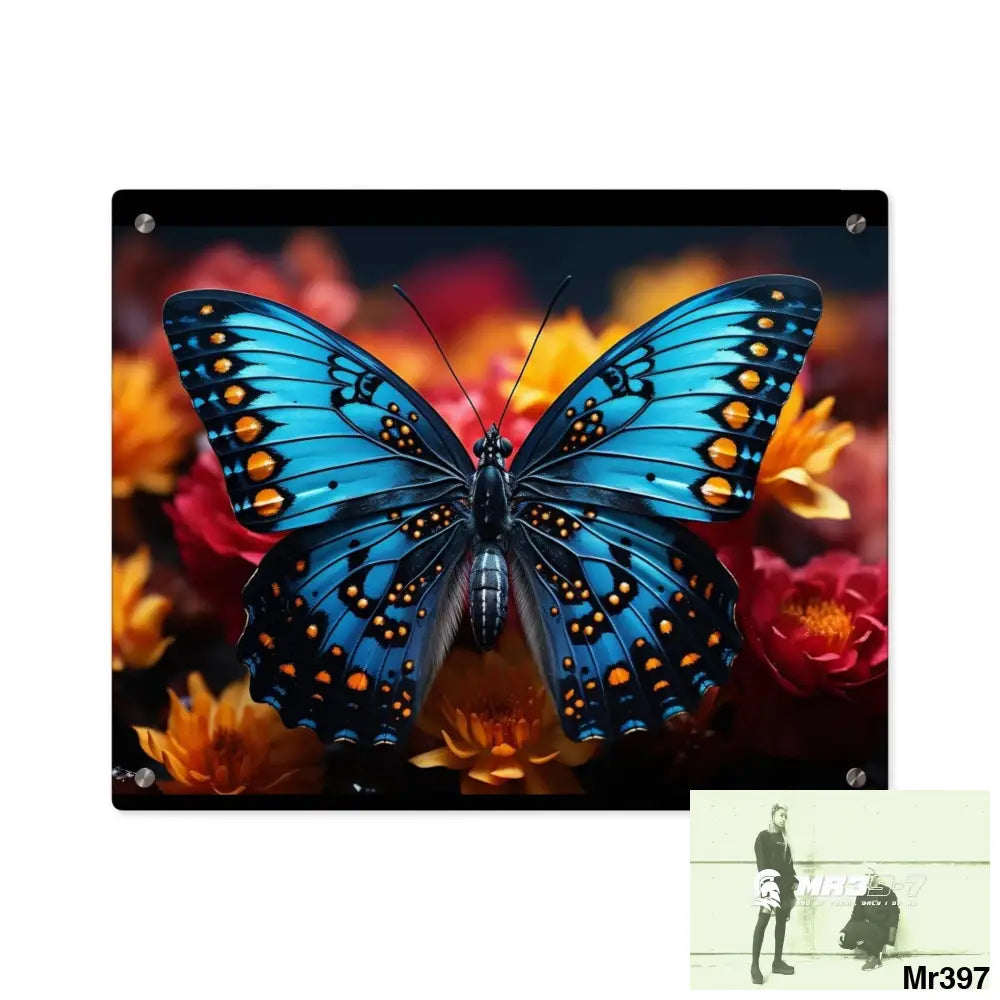 Blue Butterfly on Flower with Black and Orange Spots Acrylic Wall Art Panels 20″ x 16″ (Horizontal) / 0.25’’ Home Decor