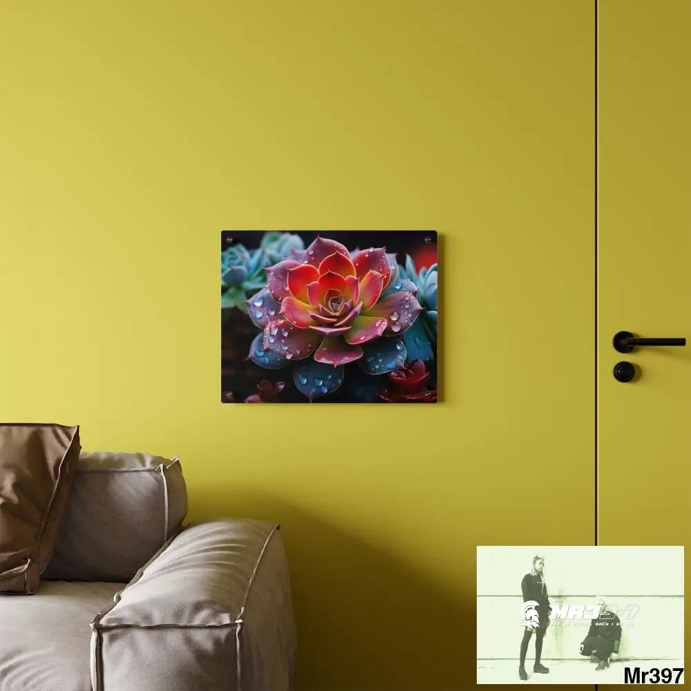Close-up of Vibrant Succulent Plant with Water Droplets Wall Art Panels Home Decor