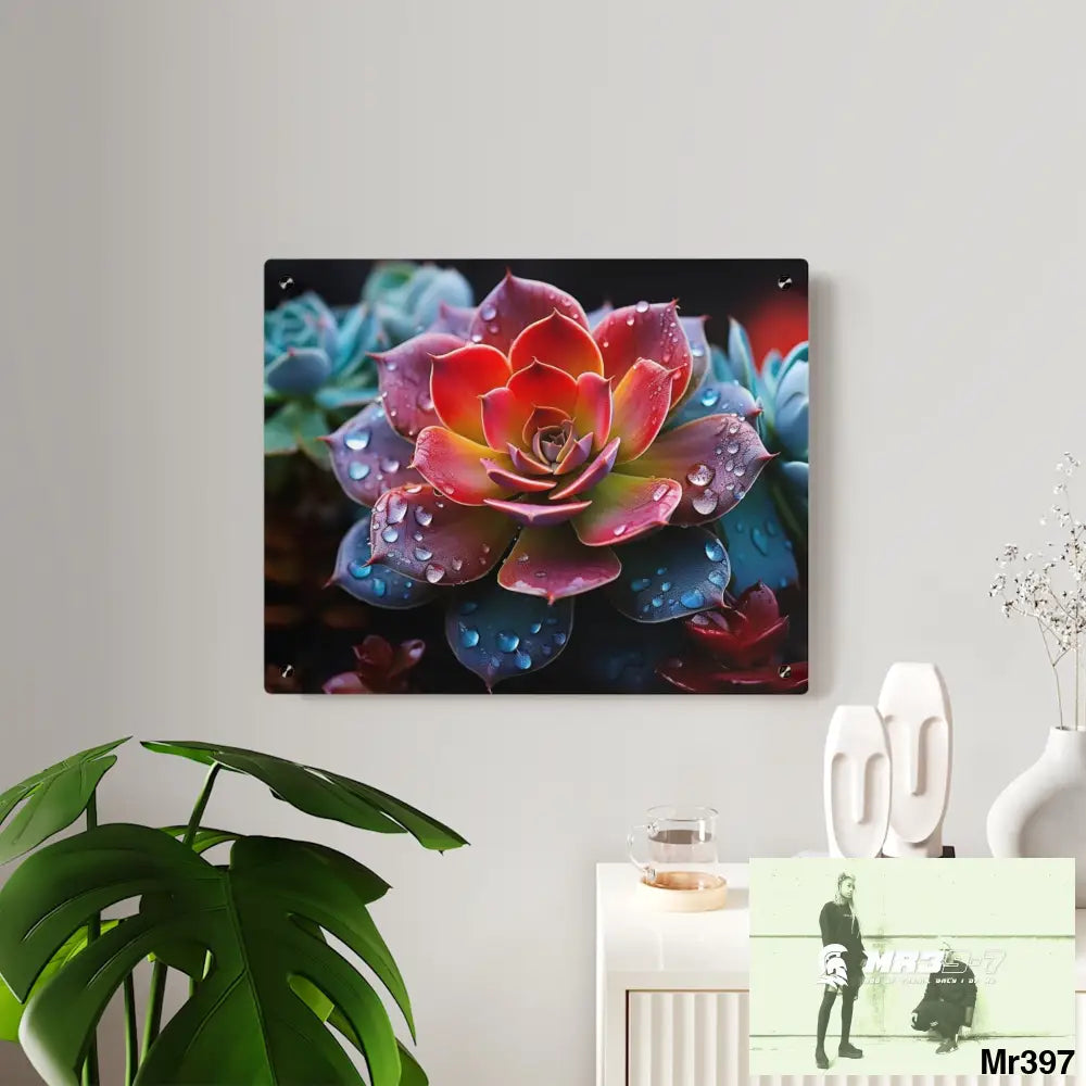 Close-up of Vibrant Succulent Plant with Water Droplets Wall Art Panels Home Decor