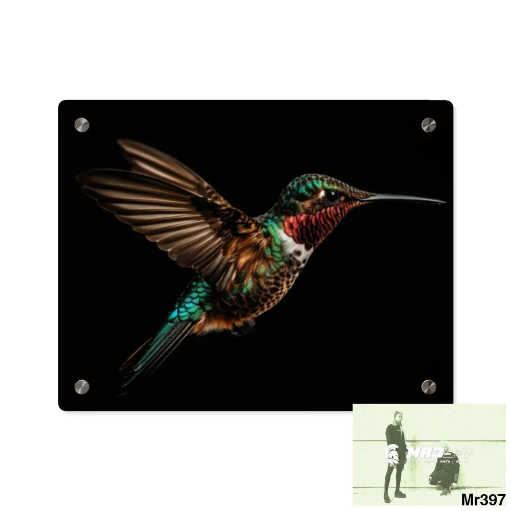 Colourful Hummingbird in Flight with Wings Spread Wide Open acrylic Art Panels 14″ x 11″ (Horizontal) / 0.25’’ Home